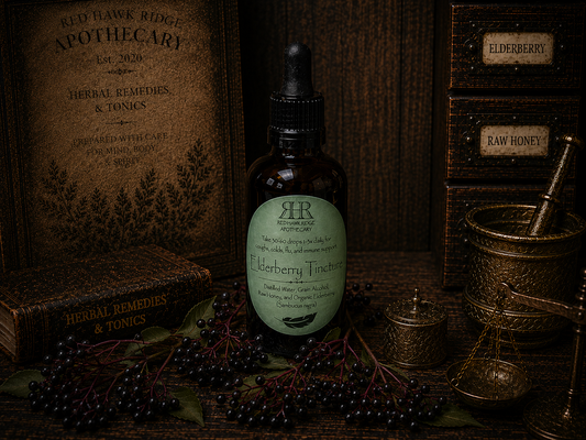 Elderberry Tincture: Immune Support & Seasonal Wellness