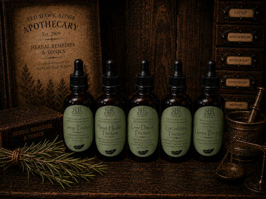 Herbal Tinctures 101: What They Are & How to Use Them
